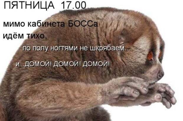 3201191_106662365_original (500x333, 32Kb)