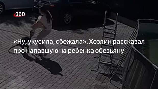 Хозяин сбежавшей обезьяны: напавшее на ребенка в Подмосковье животное не агрессивно