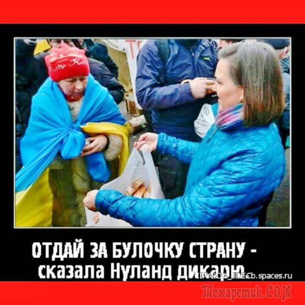Новая двухпартийность Украины: «слуги» против «собак» под приглядом США?