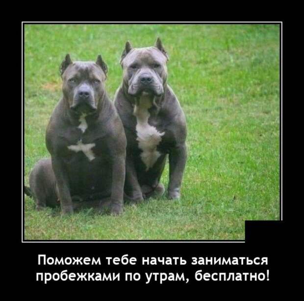 Демотиваторы Демотиваторы