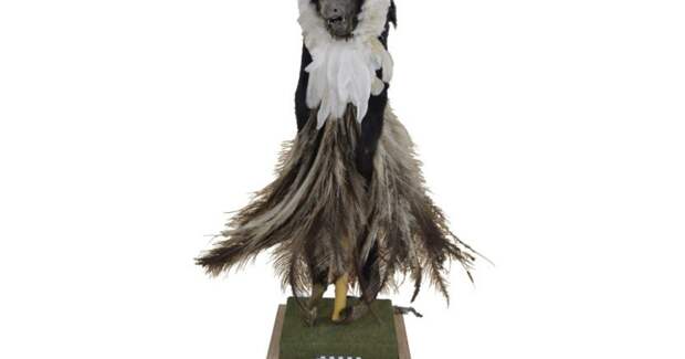 В Гран-Чако 500 лет назад мумию черного ревуна украсили перьями, установили учёные