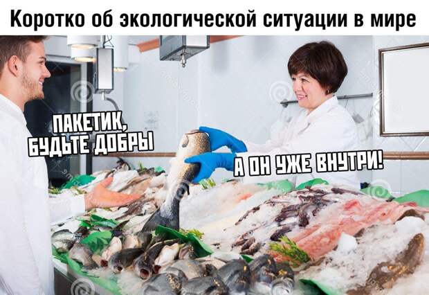 Коррекция - все записи по теме