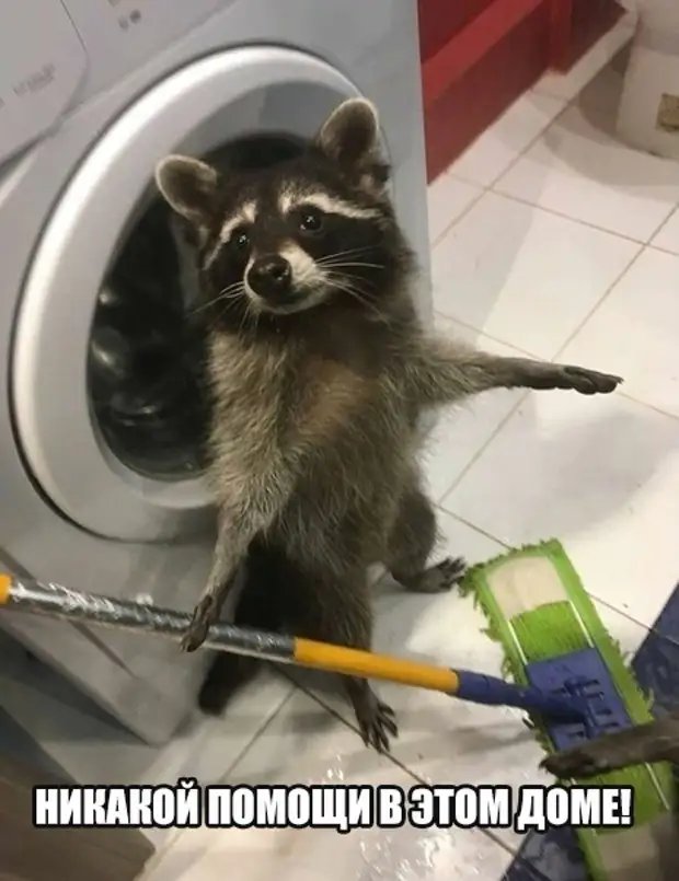 Прикольные картинки и мемы - хороших выходных