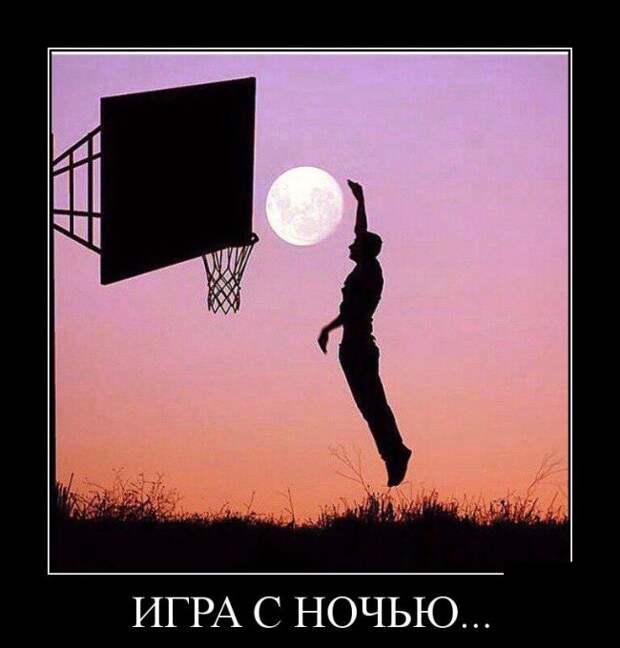 Демотиваторы бревно, демотиваторы, юмор