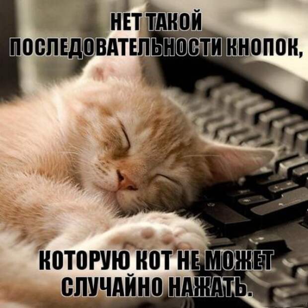 Интересные фразы с картинками о жизни и с юмором.