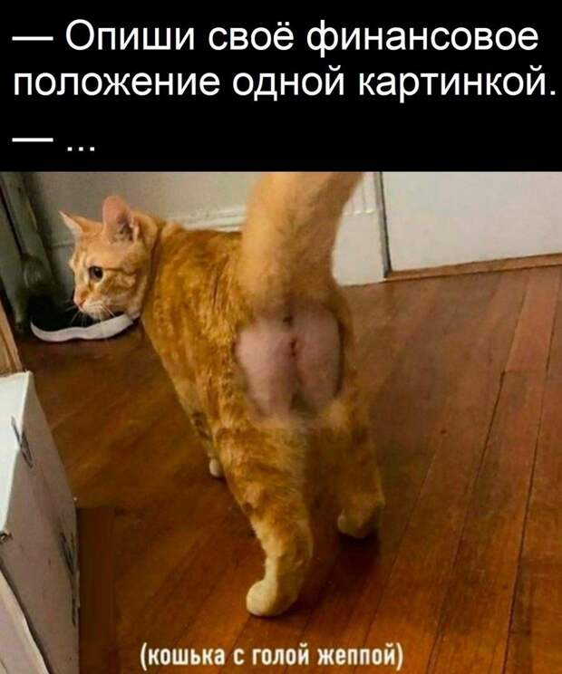 @psychology_funny  #юмор #смешное #приколы