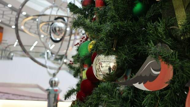 Новогодний стиль. Как торговые центры Барнаула встречают праздник