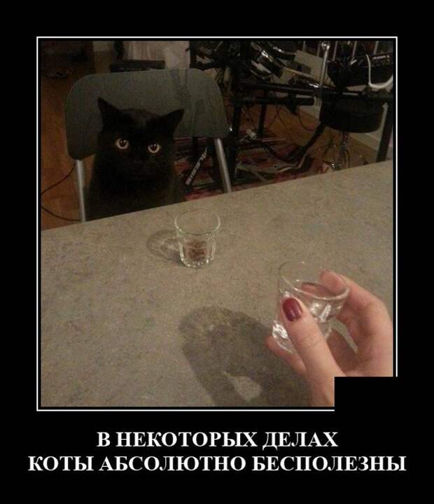 Демотиваторы 25 октября 2021 года