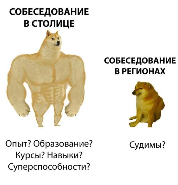 Смешные картинки 8 ноября 2021 года