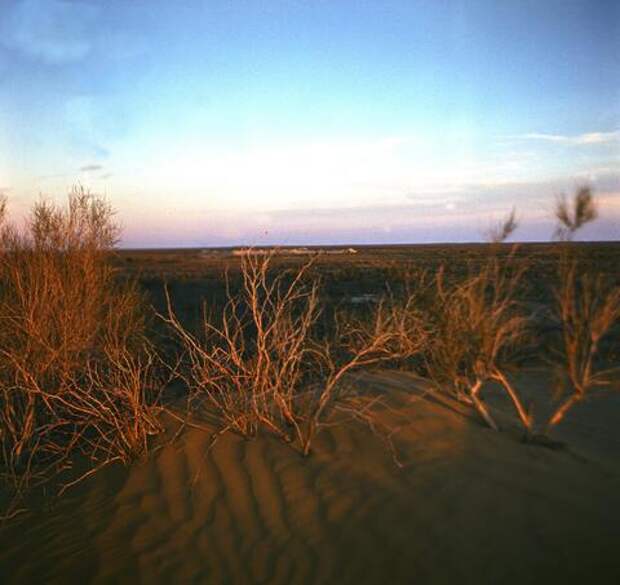 Ученые предупредили о наступлении ада на Земле из-за изменения климата