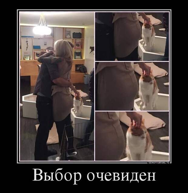 Прикольные демотиваторы со смыслом (11 фото) Прикольные демотиваторы со смыслом (11 фото)