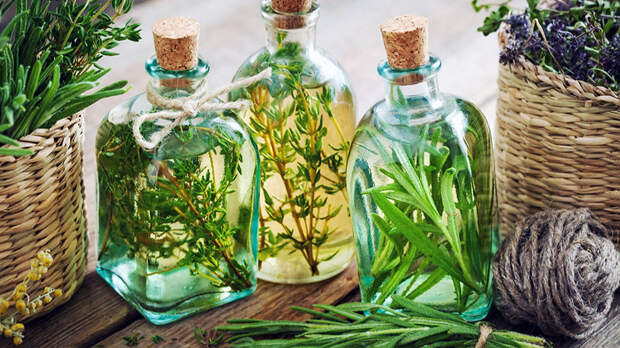 Багульник от простуды