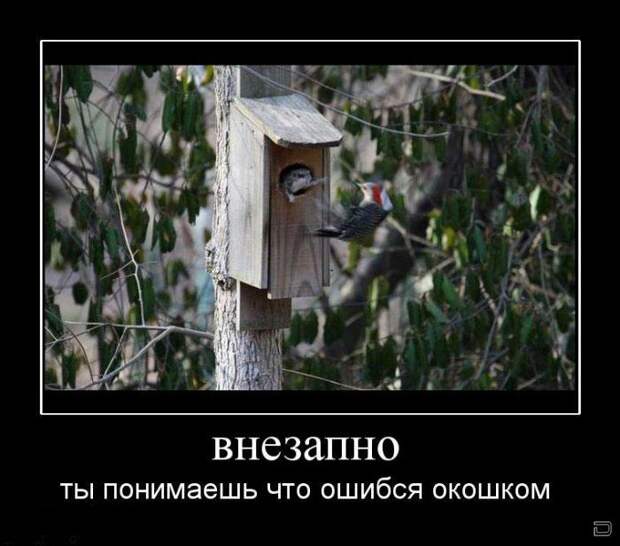Смешные демотиваторы на утро (11 фото) Смешные демотиваторы на утро (11 фото)
