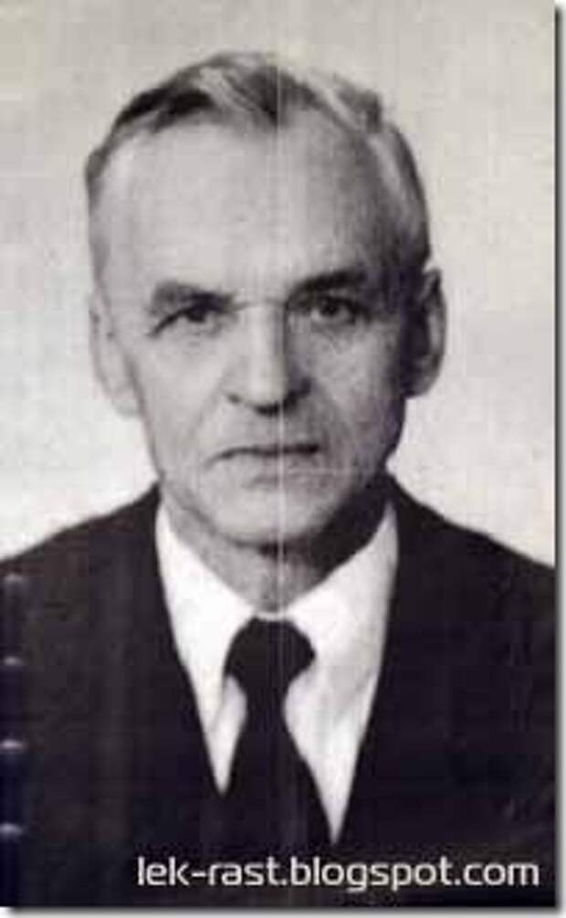 Иван Михайлович Носаль