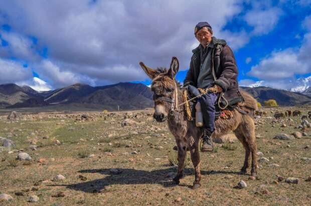 Пастухи кочуют несколько раз в год. |Фото: nat-geo.ru. Пастухи кочуют несколько раз в год. |Фото: nat-geo.ru.