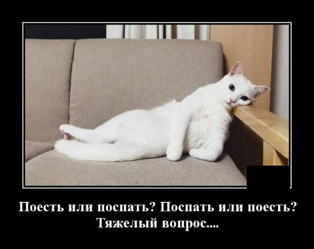 www.vsyako.net