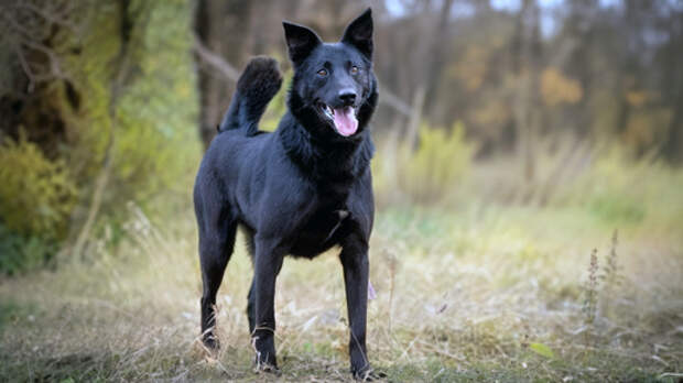 Самый лучший враг