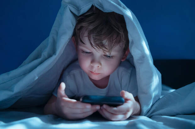 ЛДПР предлагает с 5-го класса рассказывать детям про угрозы в интернете