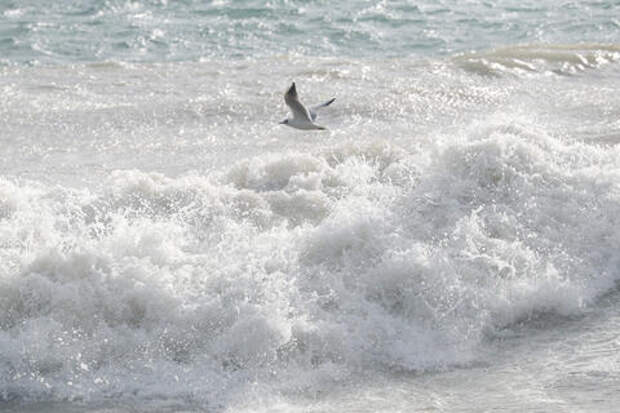 Почему холодная зима полезна для Чёрного моря, объяснил учёный