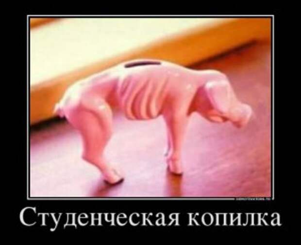 копилка