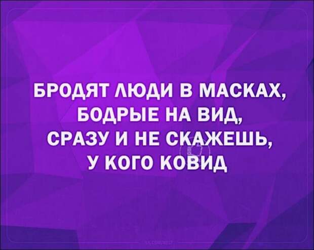 1609123691_1609097450_06.jpg