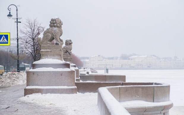 Мороз до -12 градусов и небольшой снег ждут Петербург 26 января