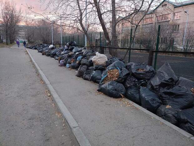 В Чите объявлен масштабный осенний субботник