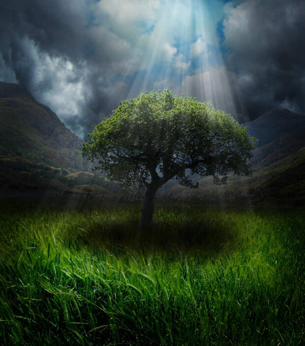 http://fc02.deviantart.net/fs70/i/2010/132/9/f/A_Break_in_the_Monotony_by_Emerald_Depths.jpg