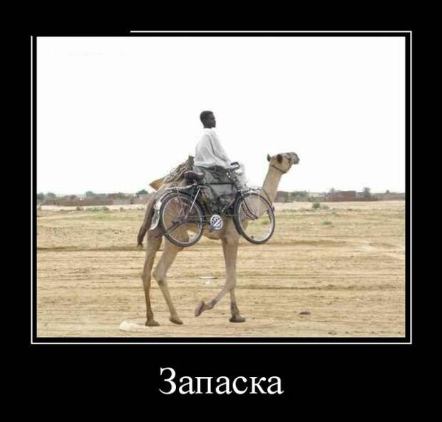 Демотиваторы (30 фото)
