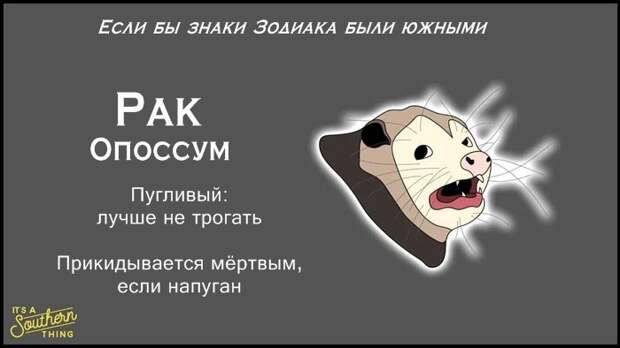 Есть южная версия знаков Зодиака — и она очень точна