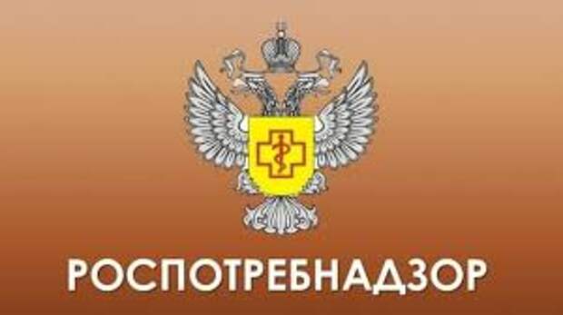 Роспотребнадзор ответил Медведеву на заявление о качестве товаров