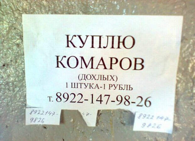 17 эпичных объявлений, авторам которых хочется аплодировать стоя