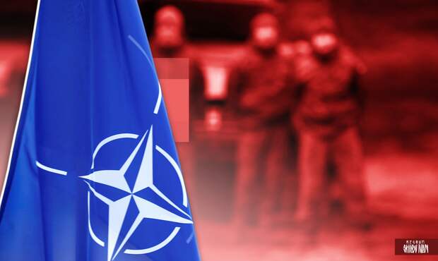 The National Interest: предложенные Москвой гарантии безопасности предусматривают исключение Прибалтики из НАТО