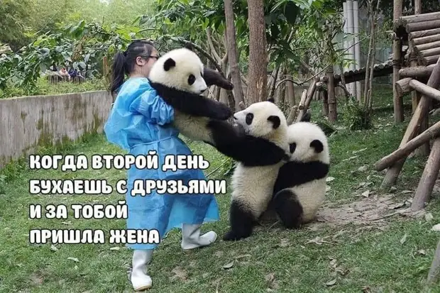 Быть 25-летним - это проклятье. 20-летние считают, что ты дед и тебе скоро пора помирать, а 30-летние - что ты жизни не нюхал, щенок Привет, потому, значит, отважный, сообразительный, стекло, говорит, разбили, молча, Говорит, солдат, исподнем, сельчане, сбежались, Стоят, возвращается, разойтисьПьяный, сонные, Значит, ругаются