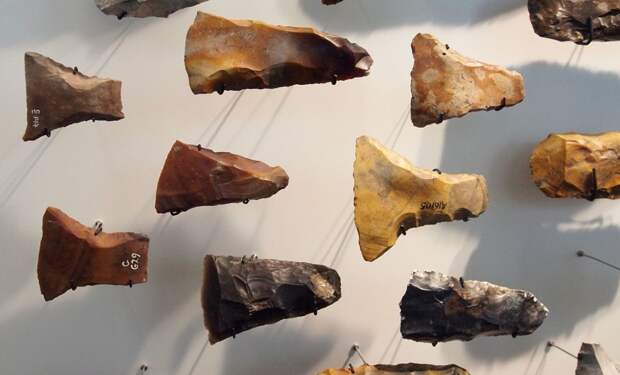 Древние люди начали изготавливать каменные орудия гораздо раньше, чем считали ученые