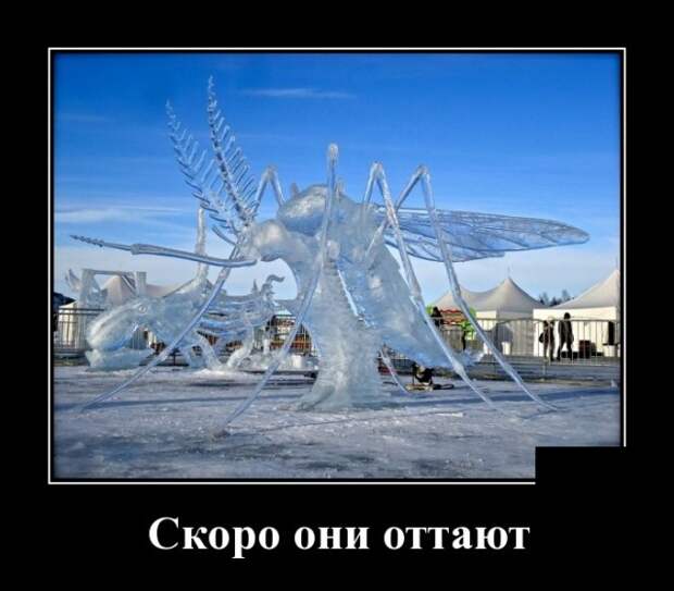 Демотиваторы (30 фото)