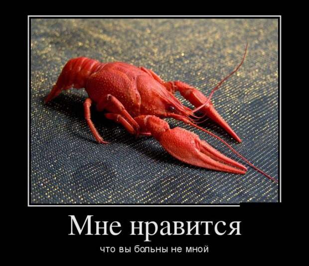 Демотиваторы (30 фото) Демотиваторы (30 фото)