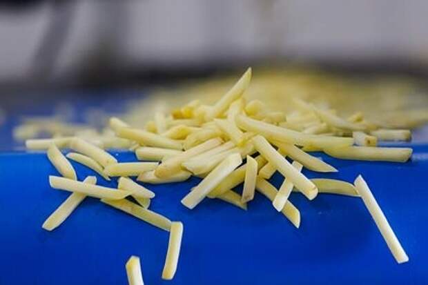 Доктор Мясников: Доставка еды превращает нас в «желеобразных»