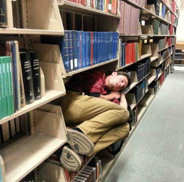 Спать в библиотеке.