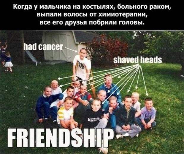 О дружбе и настоящих друзьях (19 фото)