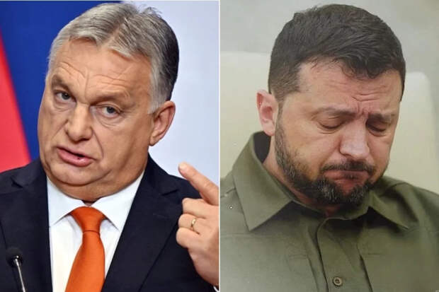 Зеленский ответит: Орбан в ярости, боевики ВСУ преследуют его жену и детей