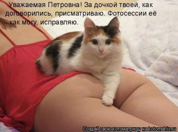 Смешная котоматрица