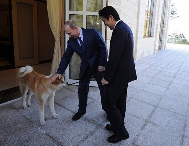Что дарят Владимиру Путину