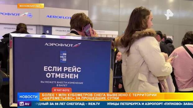 В аэропорту Шереметьево пассажирам вернули застрявший багаж