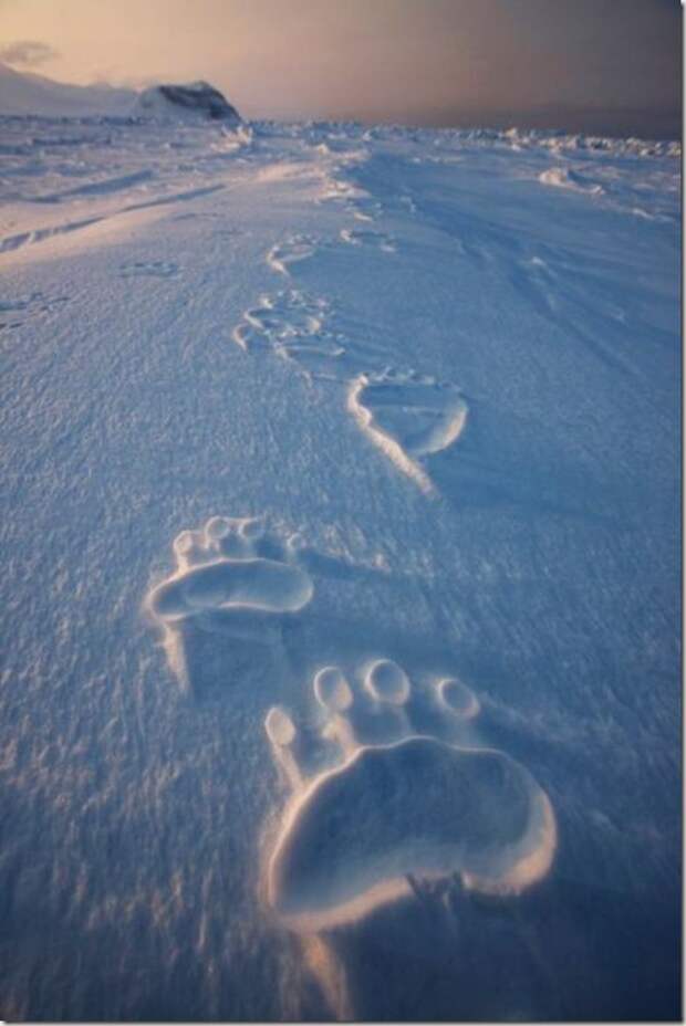 52eca1a99ddb7cb5606c696d34b_prev 52eca1a99ddb7cb5606c696d34b_prev