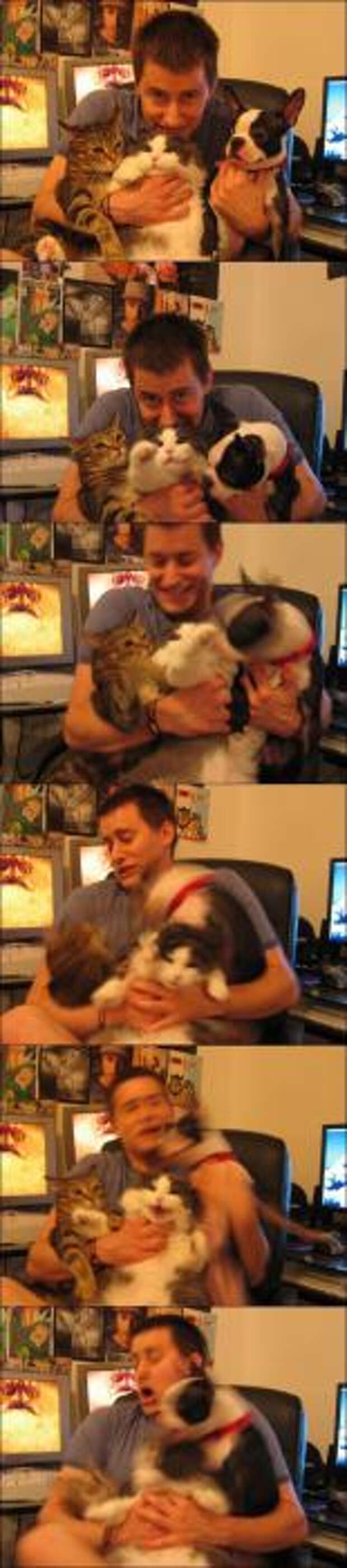 Котики