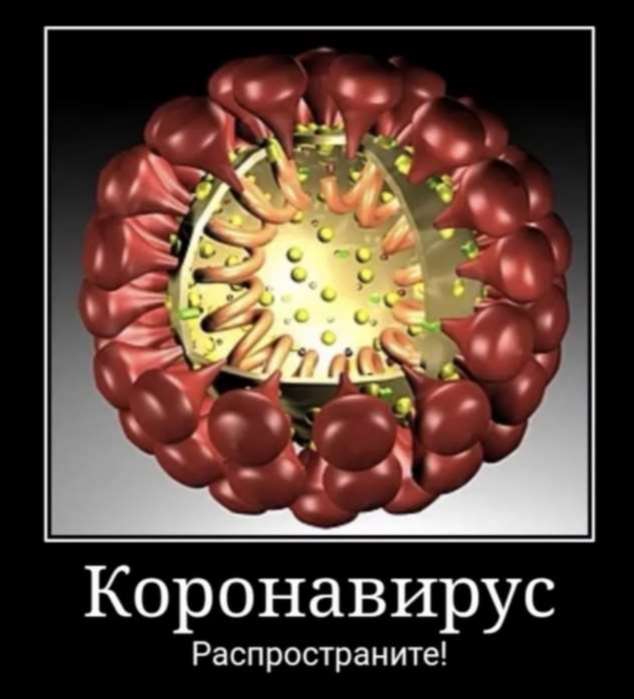 Демотиваторы про коронавирус с надписями. Подборка chert-poberi-dem-koronavirus-chert-poberi-dem-koronavirus-56380616062020-3 картинка chert-poberi-dem-koronavirus-56380616062020-3
