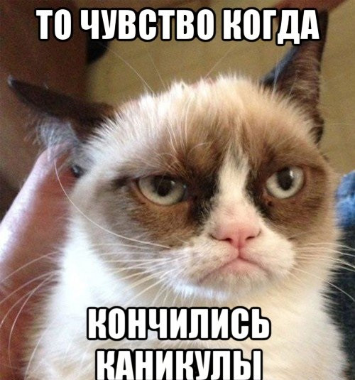 Звонит телефон. В трубке раздаётся приятный женский голос. 