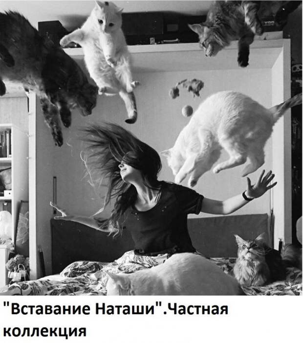 Понедельник, и как его пережить Понедельник, и как его пережить