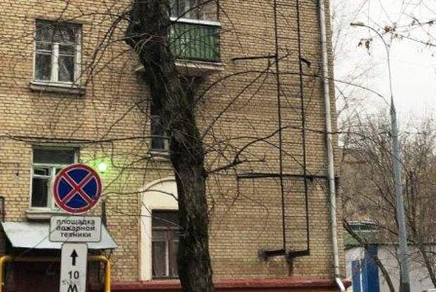 Пожарная лестница. Фото: префектура ВАО alt